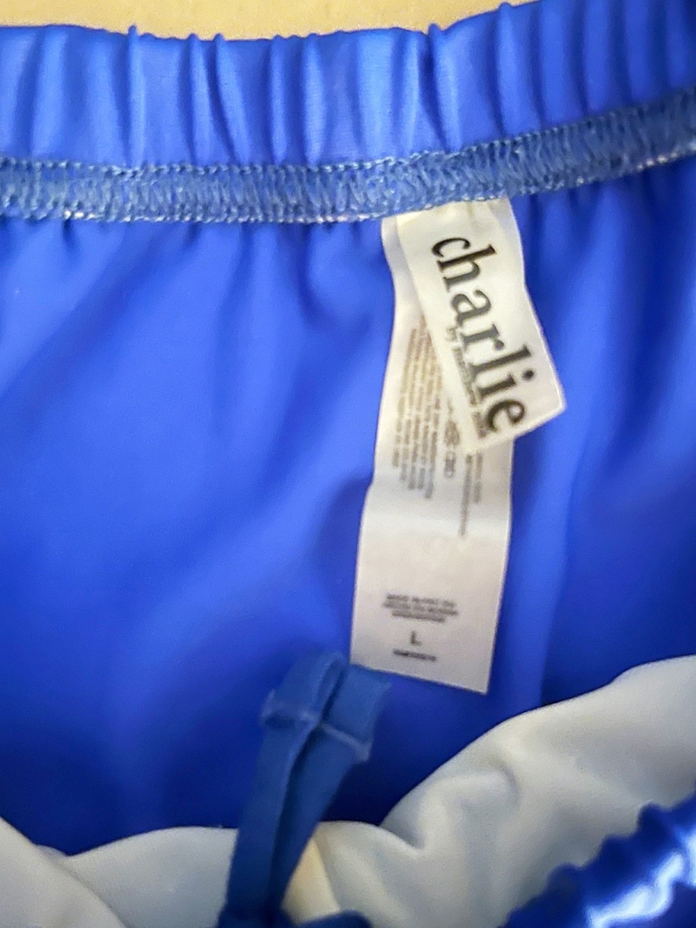 charlie Men's Royal Blue Swim Briefs - Picture 2 of 3